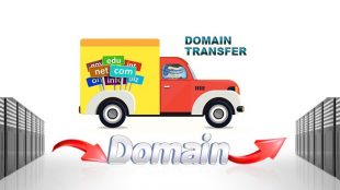 Alan Adı (Domain) Transferi Nasıl Yapılır ?