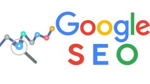 Google Seo Nedir ?