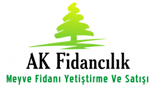 Ak Fidancılık