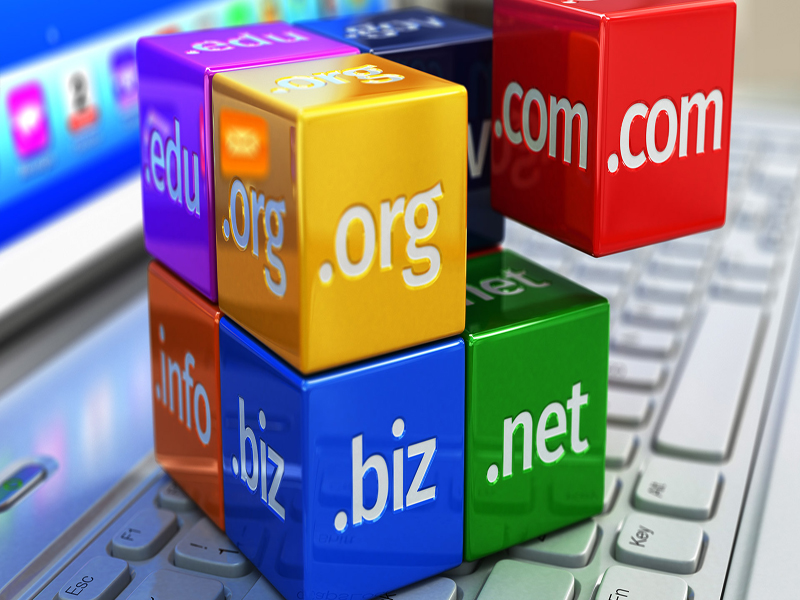 Domain Tescil (Kayıt)