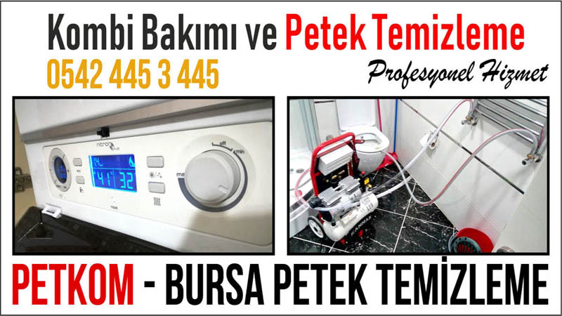 Bursa Petek Temizliği