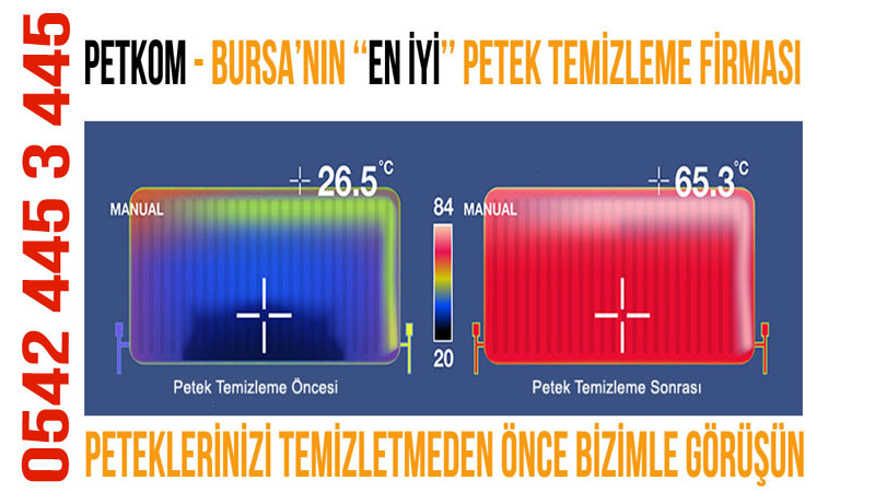 Petek Temizleme Bursa